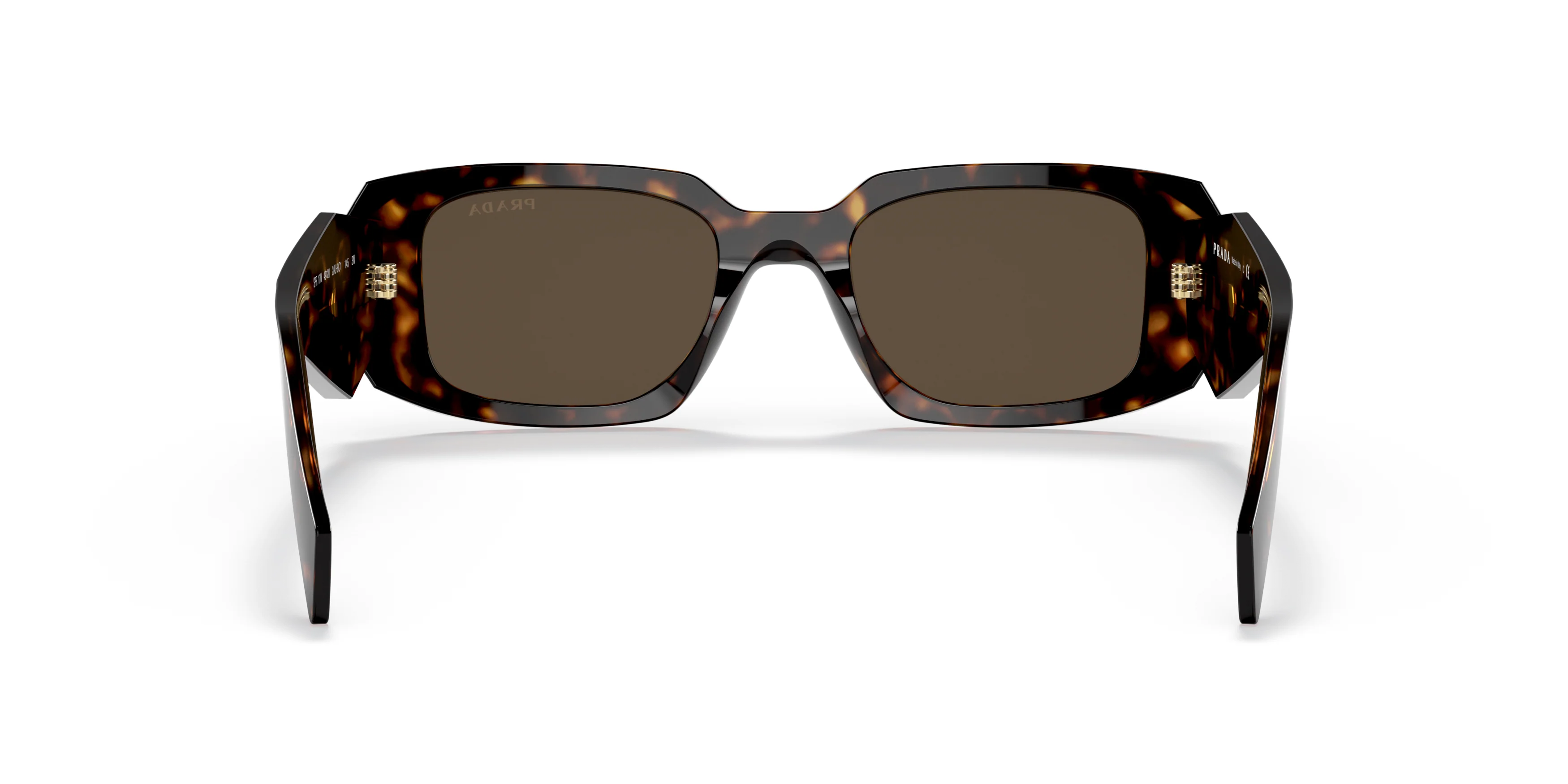 PR 17WS Tortoise/Brown S - Image 4