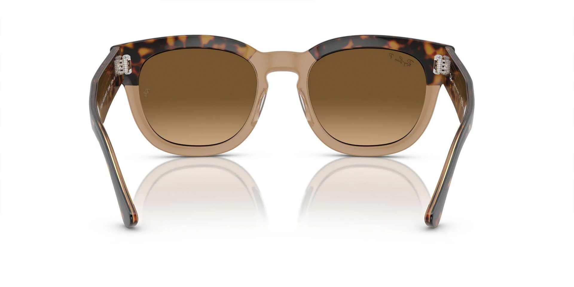 RB0298S Gold/Brown/Polarized L - Image 4