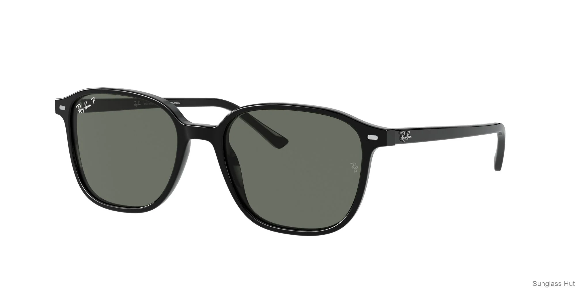 RB2193 Black/Polarized Green Classic G-15/Polarized STD