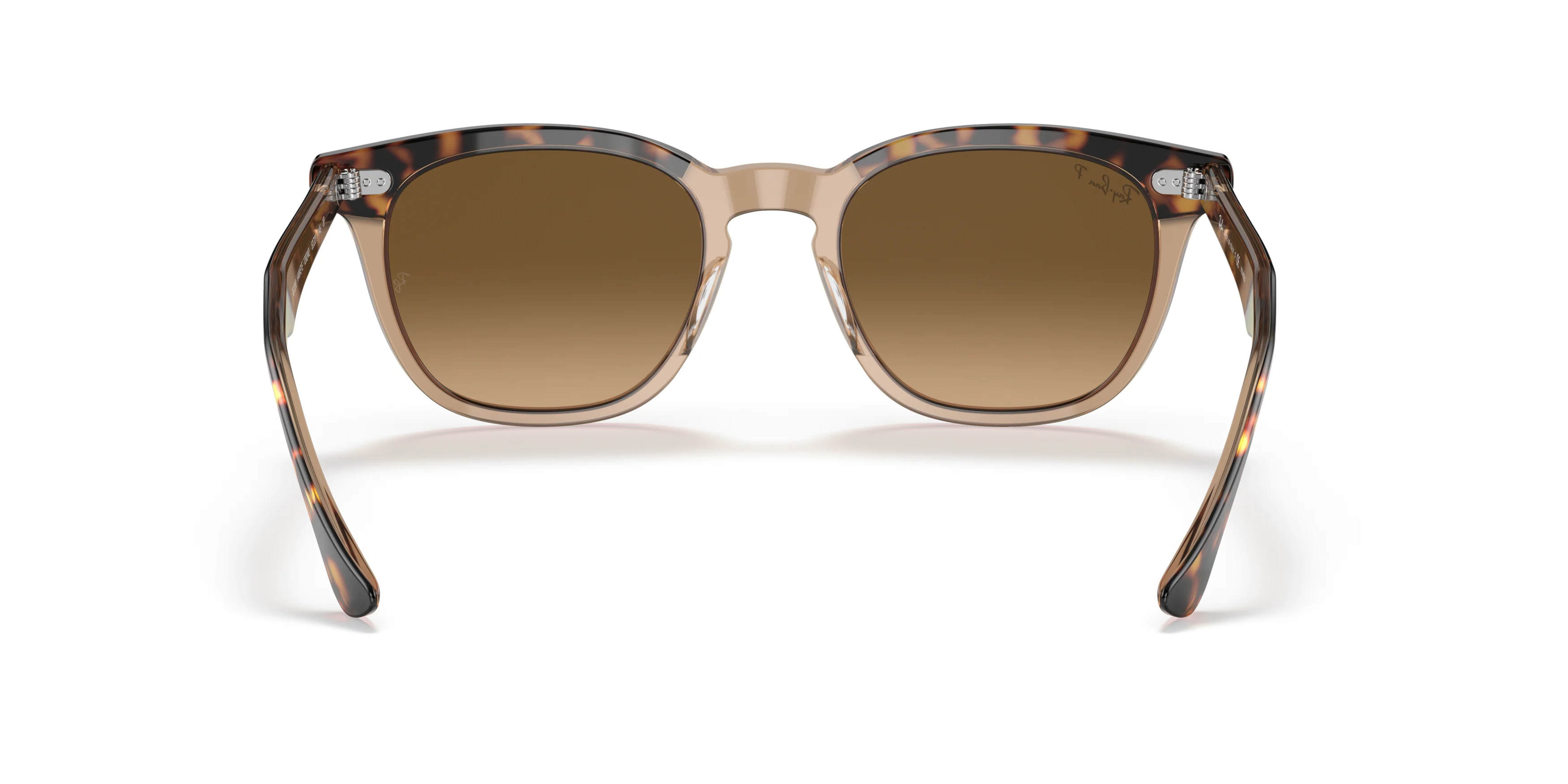 RB2298 Havana/Brown Gradient Polar/Polarized - Image 4