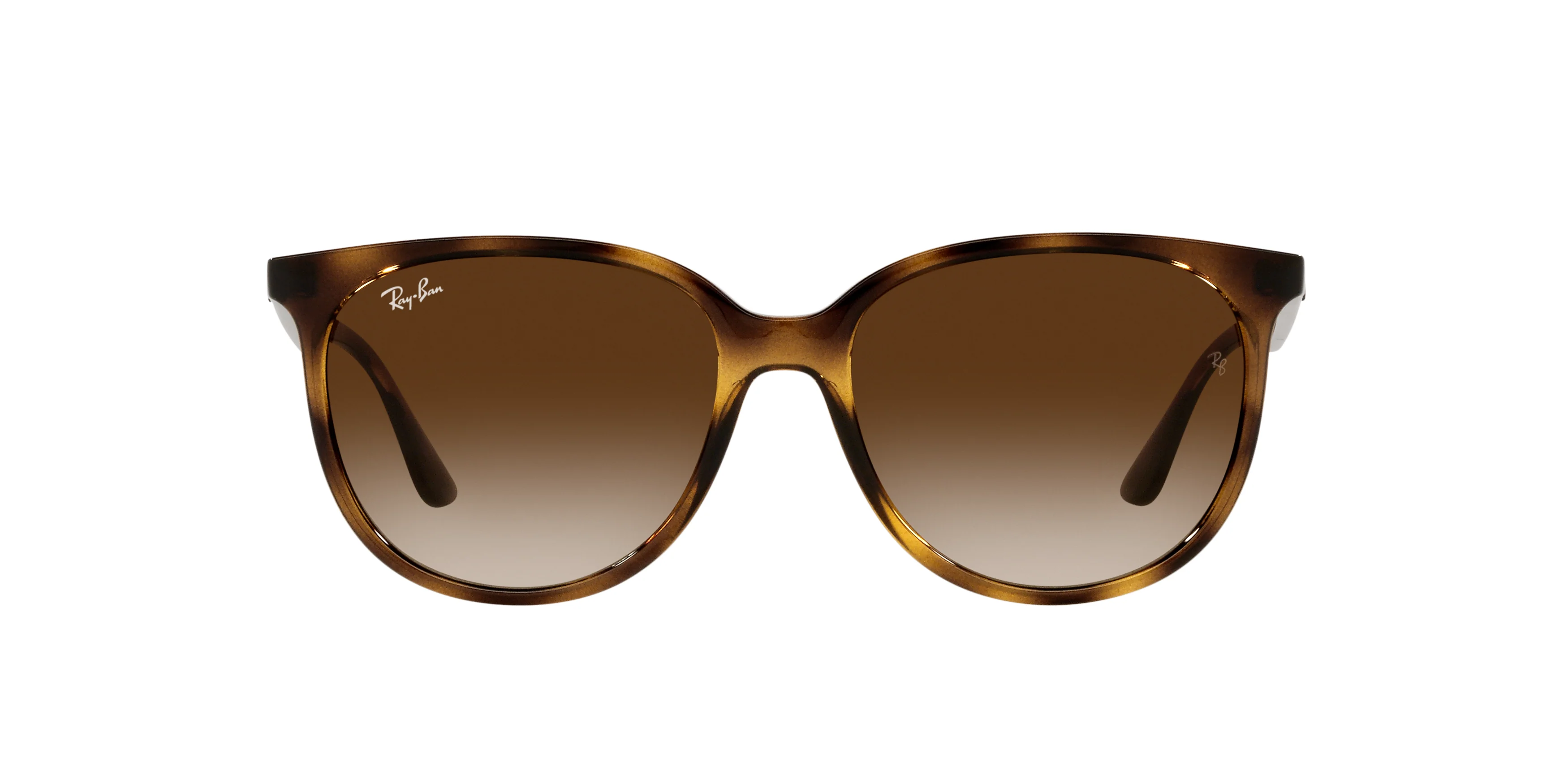 RB4378 Brown/Gradient Brown - Image 2