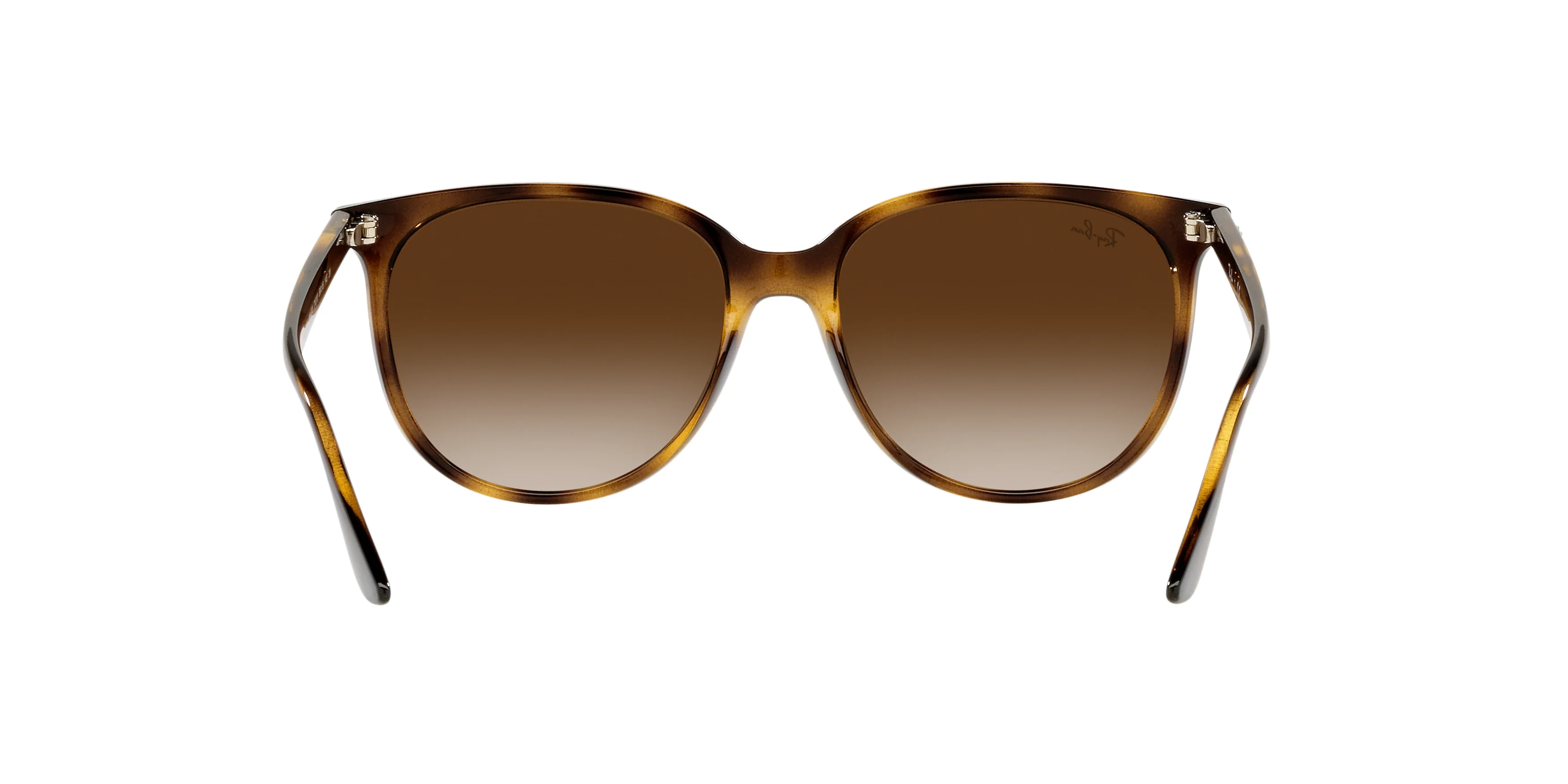 RB4378 Brown/Gradient Brown - Image 4