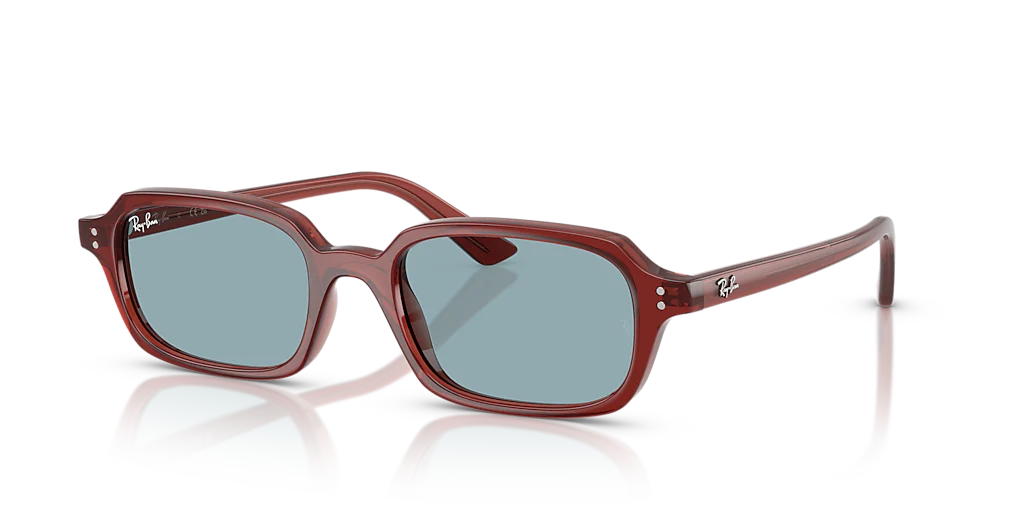 RB4455 Brown/Blue S