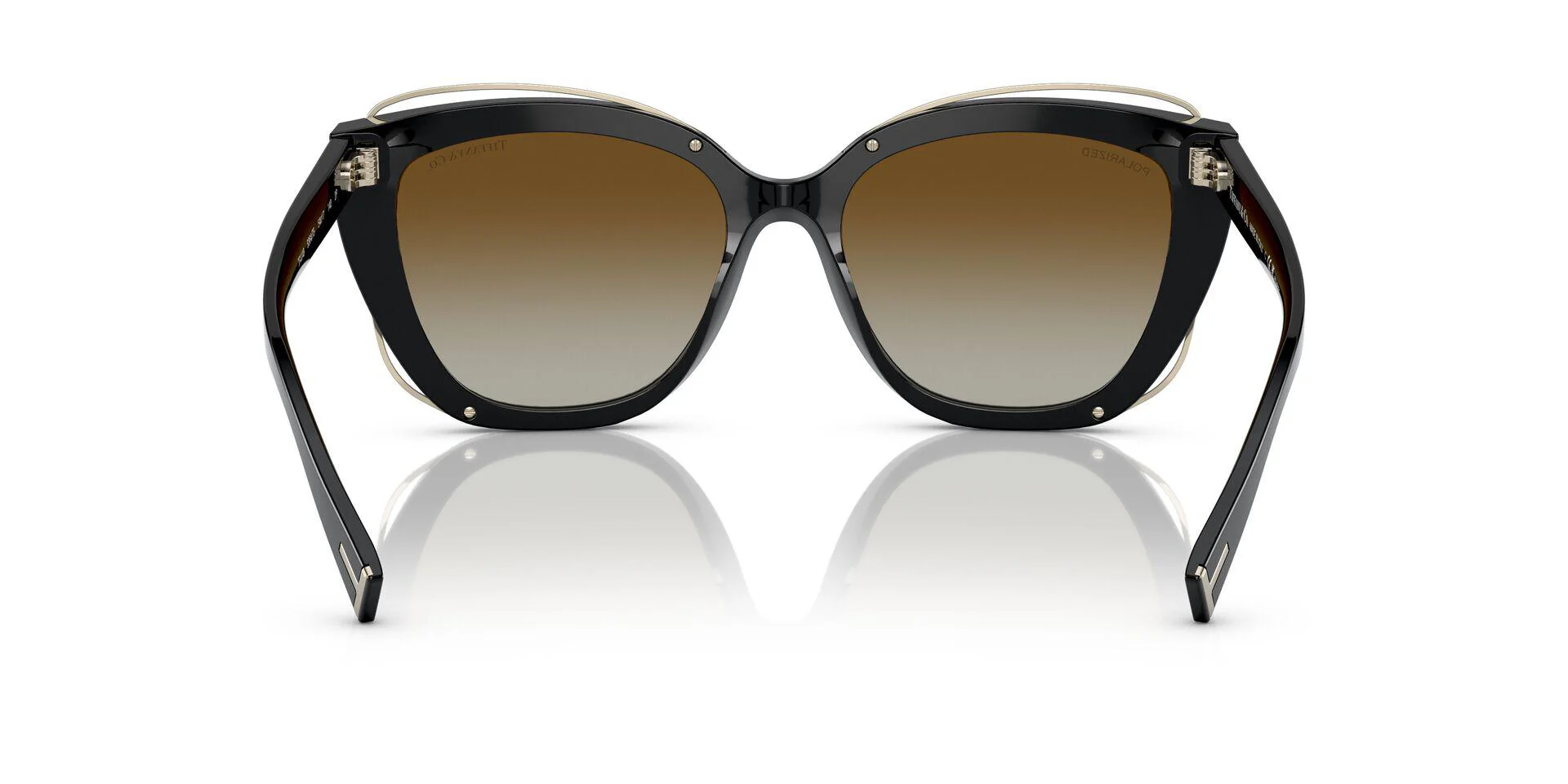 TF4148 Black/Polar Brown Gradient/Polarized M - Image 4