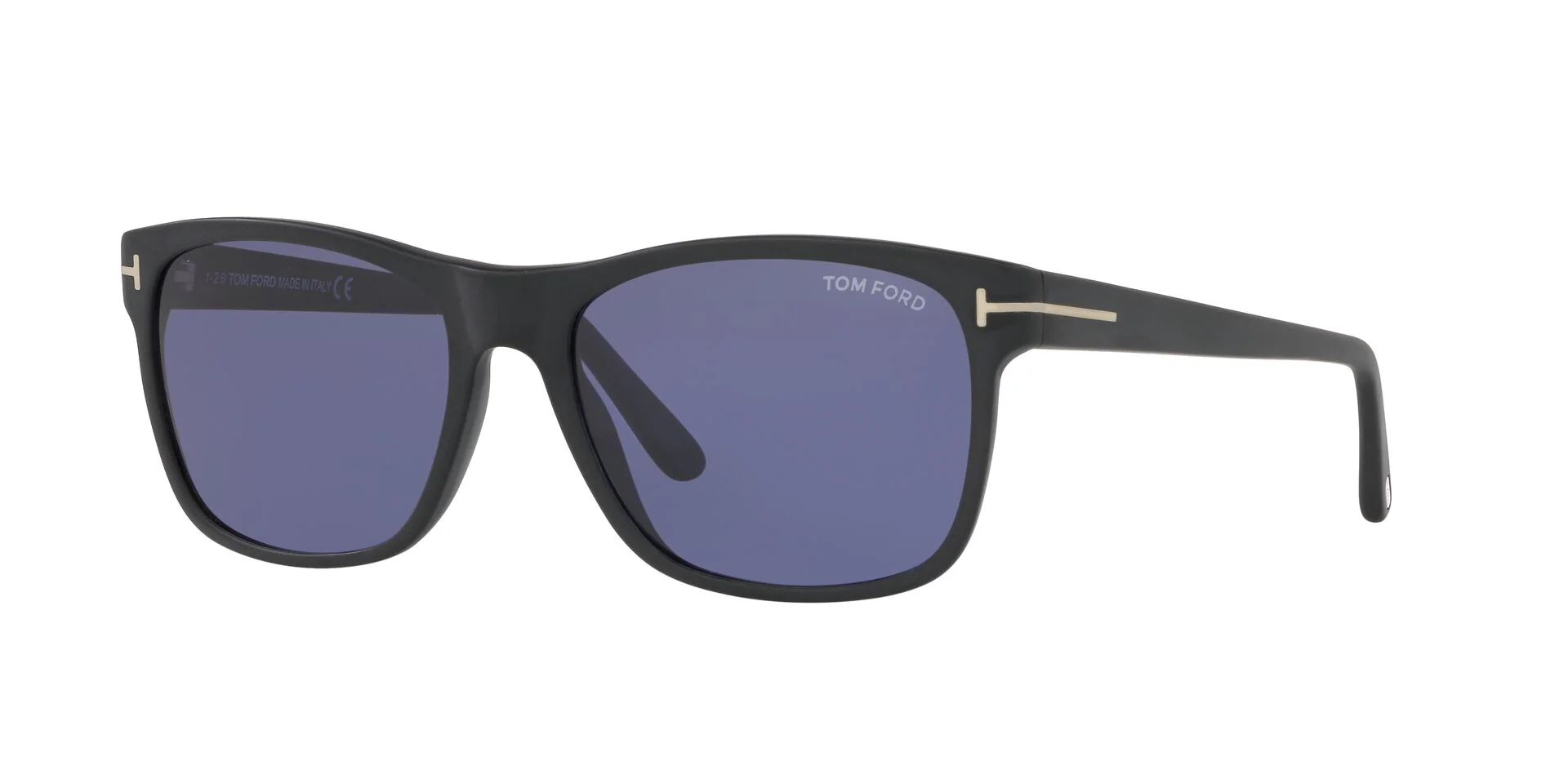 TR001050 Black/Blue/Polarized STD