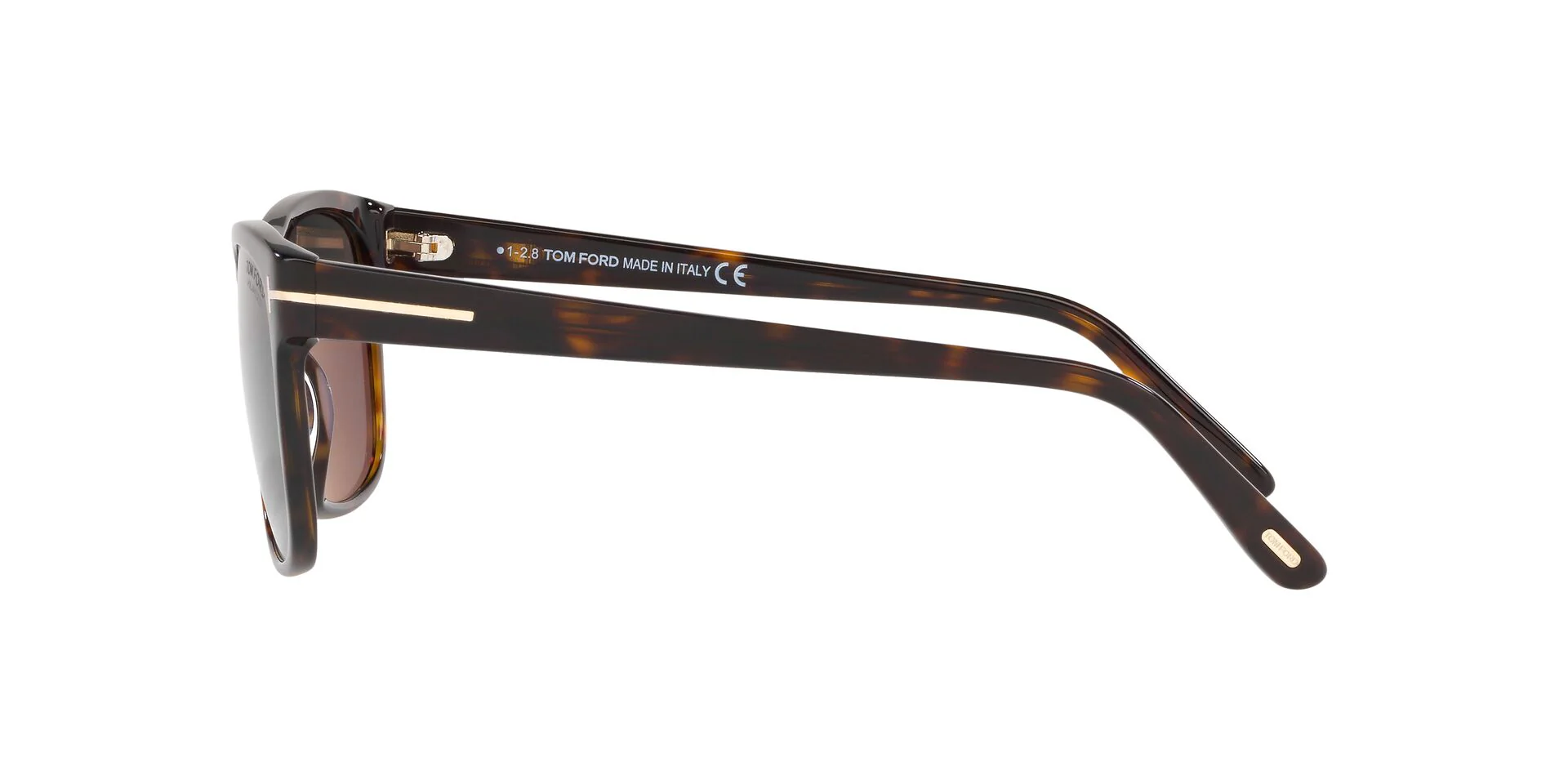 TR001050 Tortoise/Grey Polar/Polarized STD - Image 3
