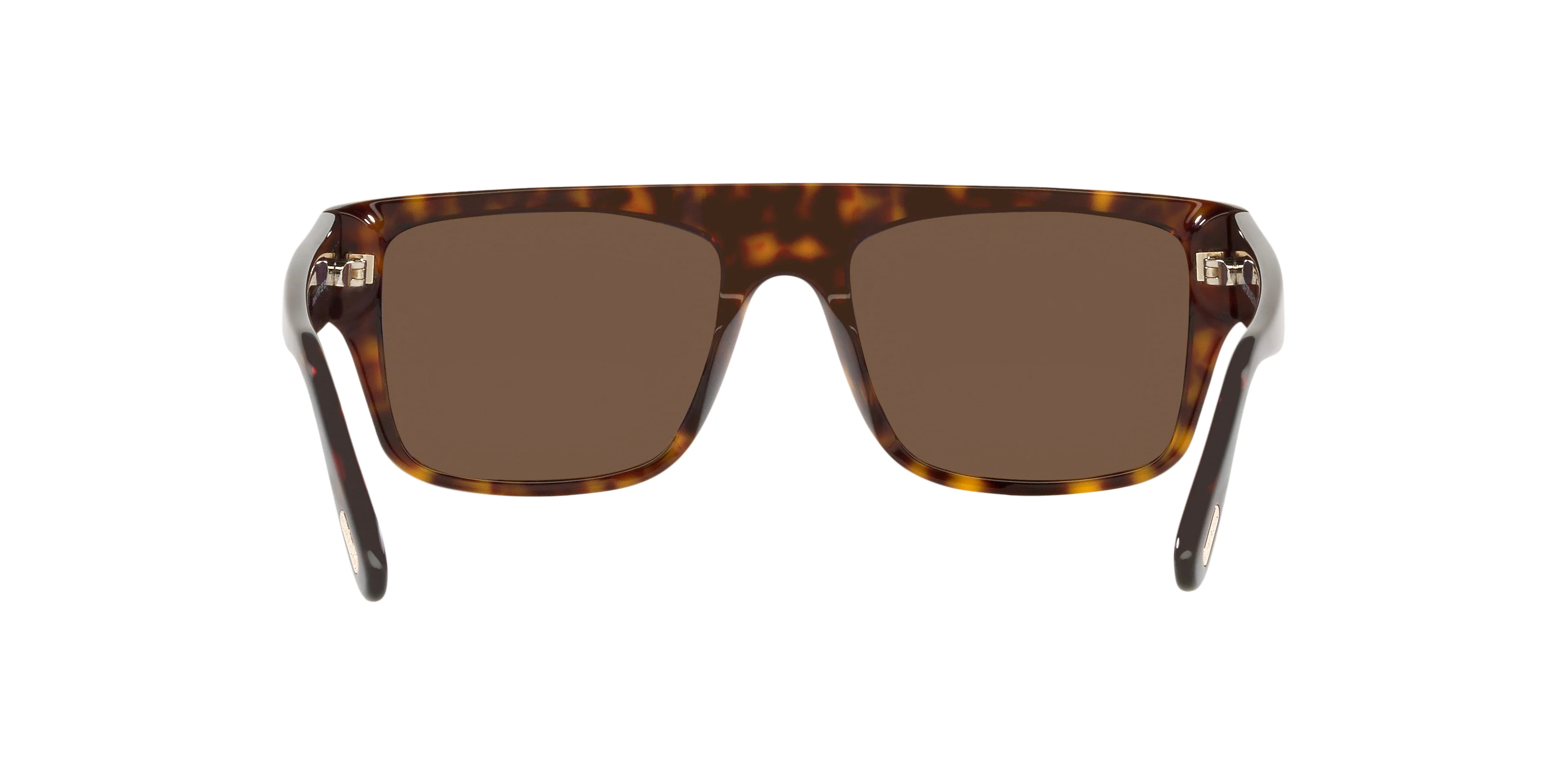 TR001363 Tortoise/Brown - Image 4