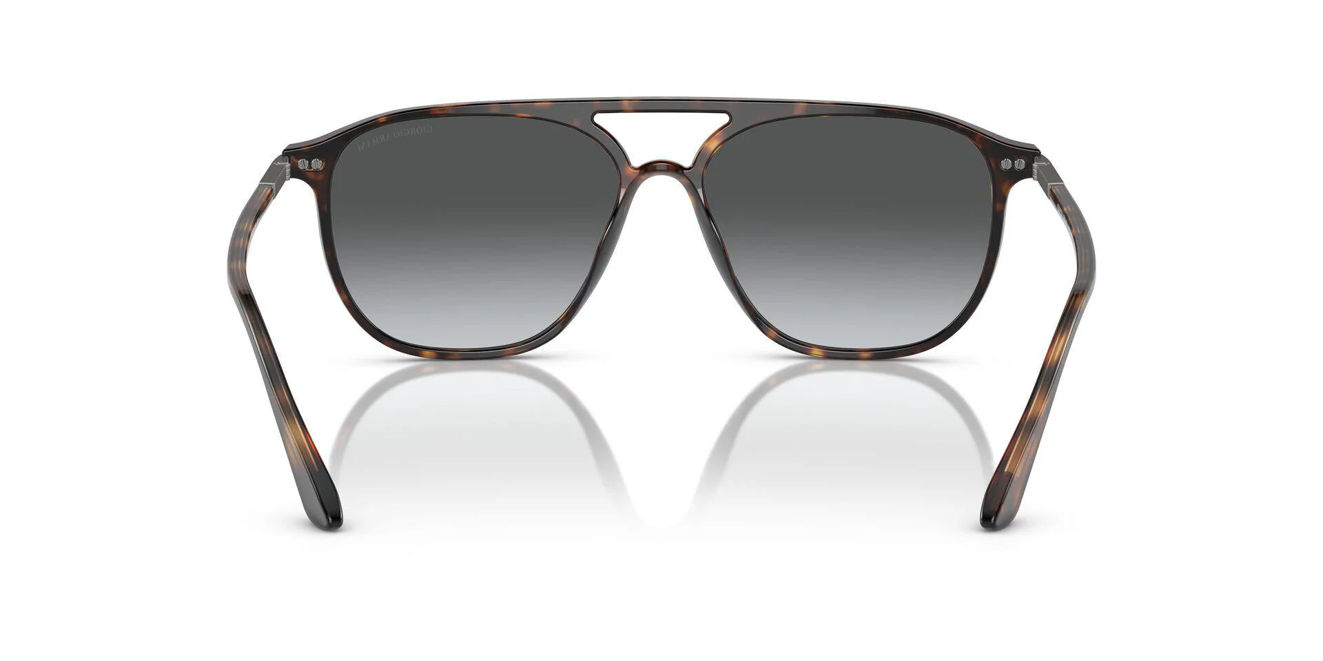 AR8179 Tortoise/Gradient Grey/Polarized XL - Image 4
