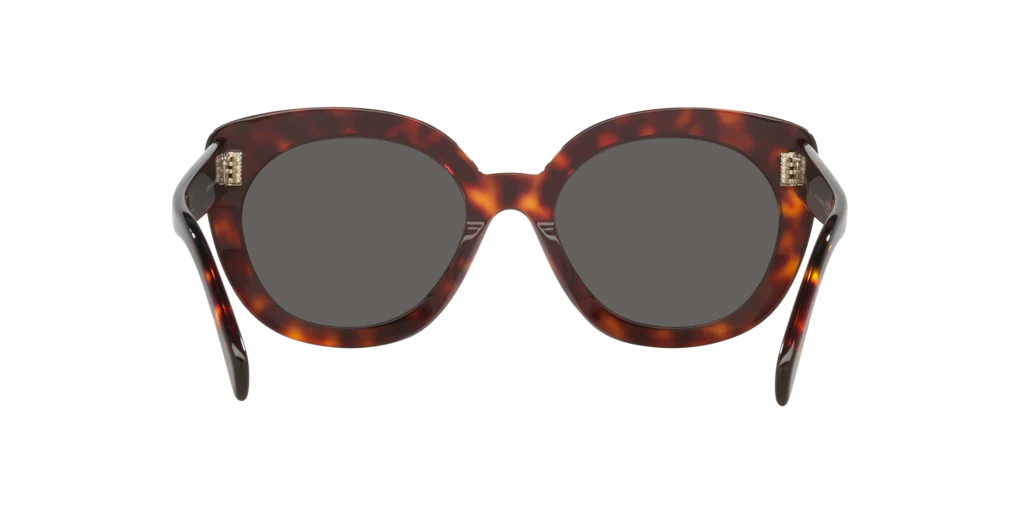 Cl40295I Celine Tortoise/Grey M - Image 4