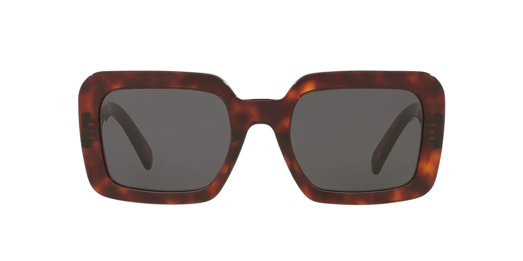 Cl40304U Celine Tortoise/Grey L - Image 2