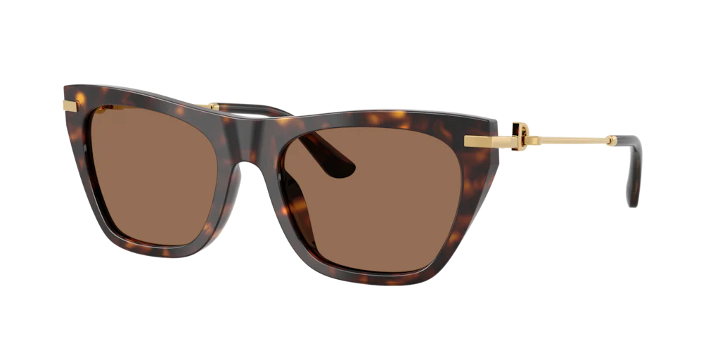 DG 4511 Dolce&Gabbana Havana/ Dark Brown