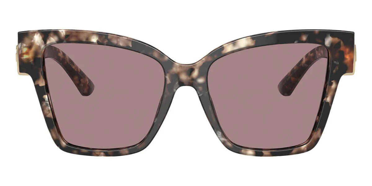 DG4470 Dolce & Gabbana Brown/Purple L - Image 2