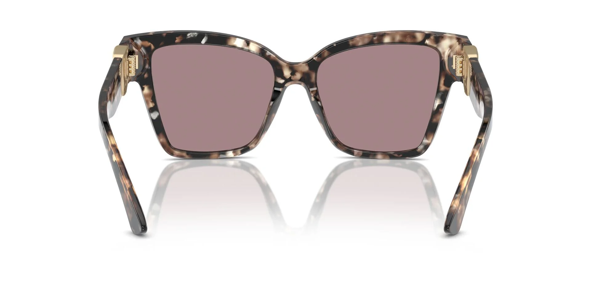DG4470 Dolce & Gabbana Brown/Purple L - Image 4
