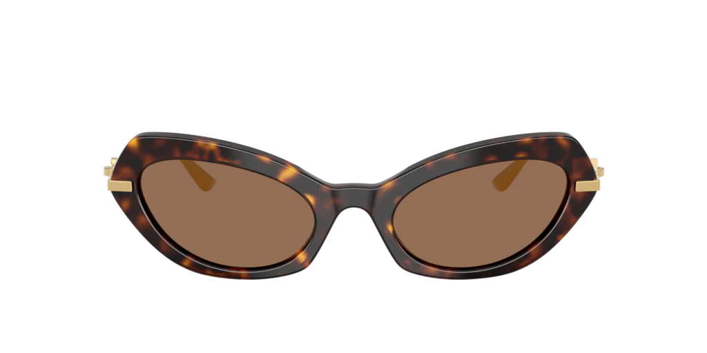 DG4473 Dolce & Gabbana havana/dark brown XL - Image 2