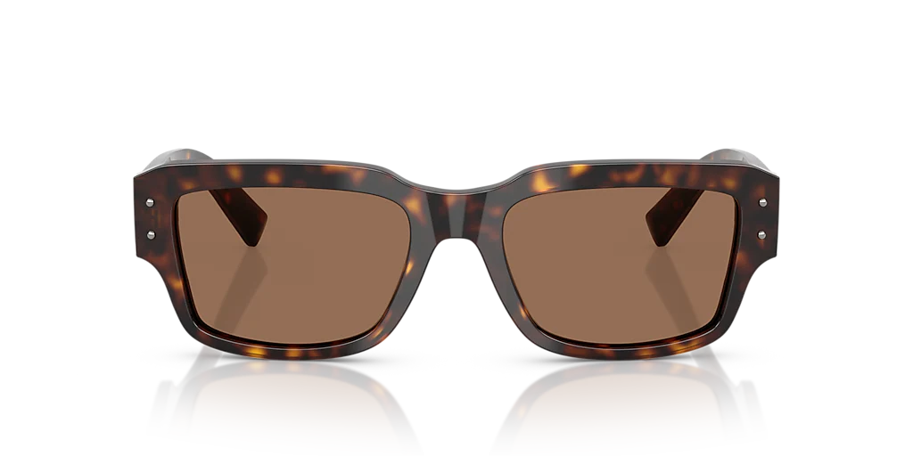 DG4483 Dolce & Gabbana Tortoise/Brown M - Image 2