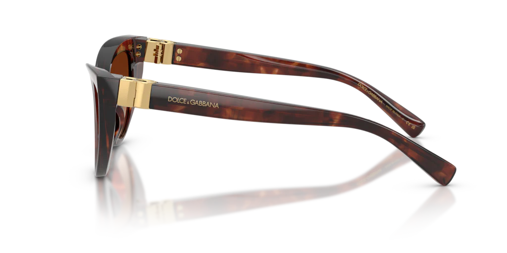 DG4497 Dolce & Gabbana Red/Brown S - Image 3