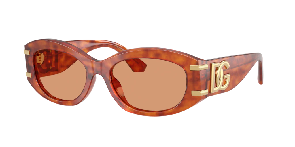 DG4502 Dolce&Gabbana Camel Havana/Orange L - Image 5