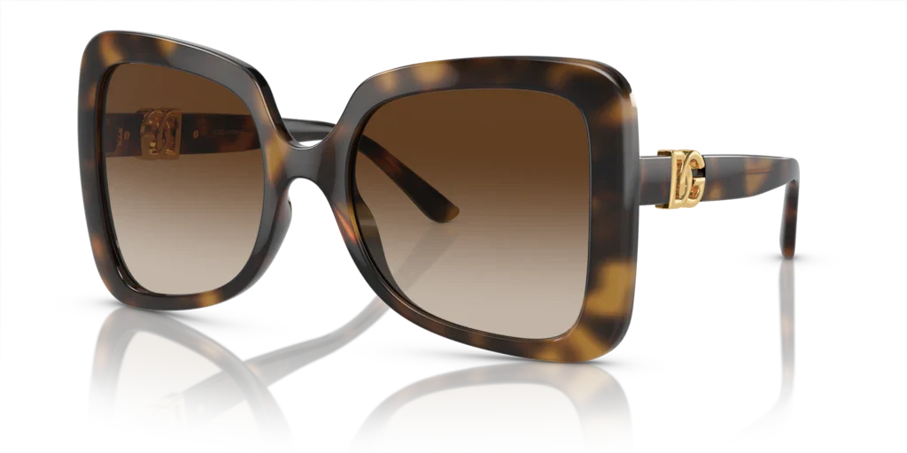 DG6193U Tortoise/Gradient Brown L