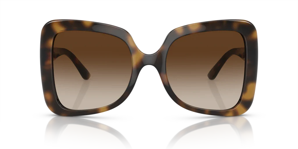 DG6193U Tortoise/Gradient Brown L - Image 2