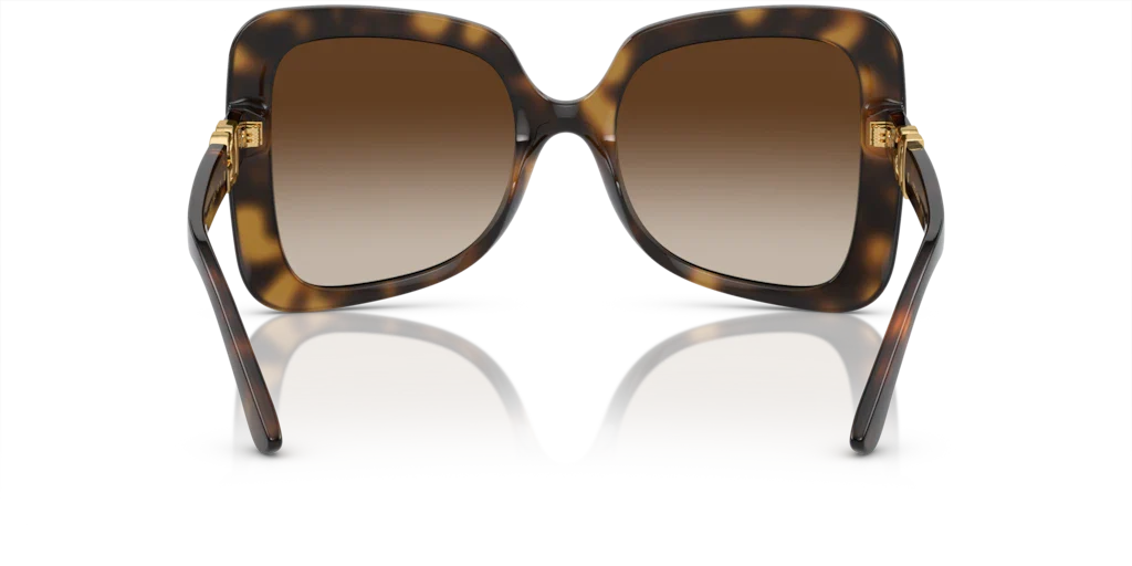 DG6193U Tortoise/Gradient Brown L - Image 4