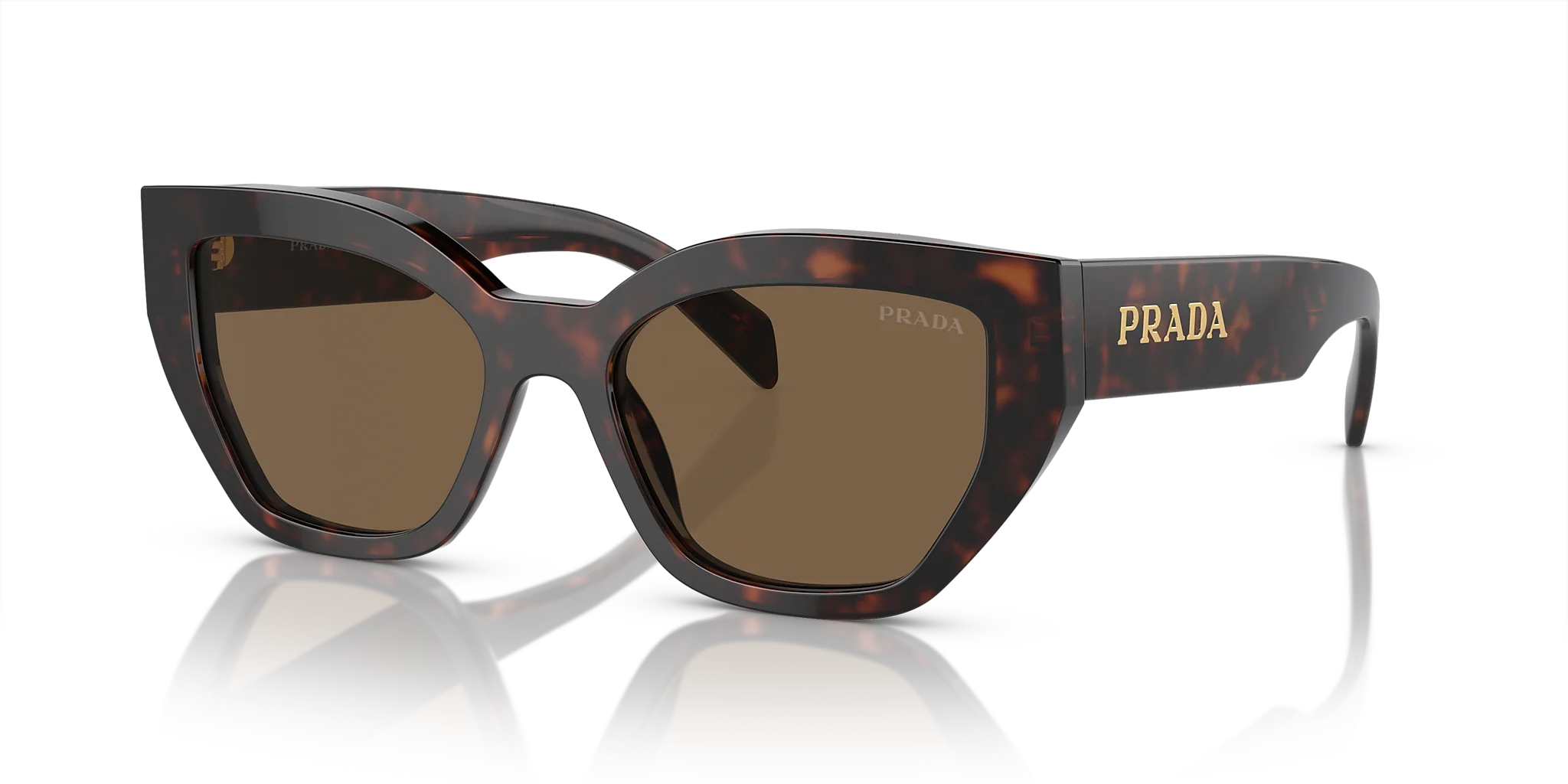 PR A09SF Prada Brown L