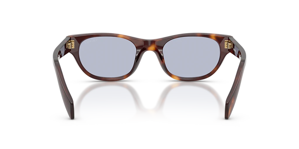 PR C08S PRADA Tortoise/Violet S - Image 4