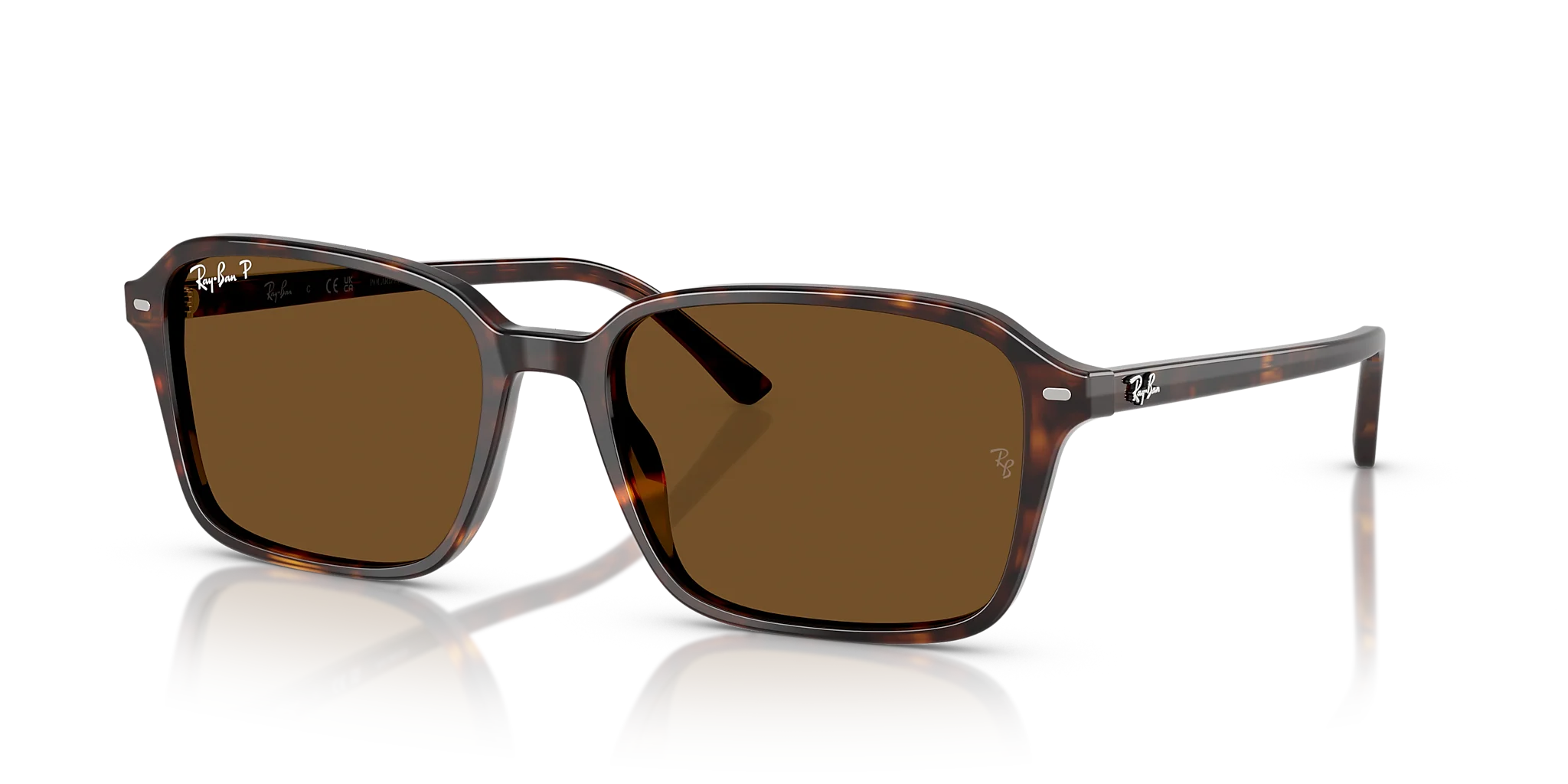 RB2231 Raimond Ray-Ban Tortoise/Brown XL