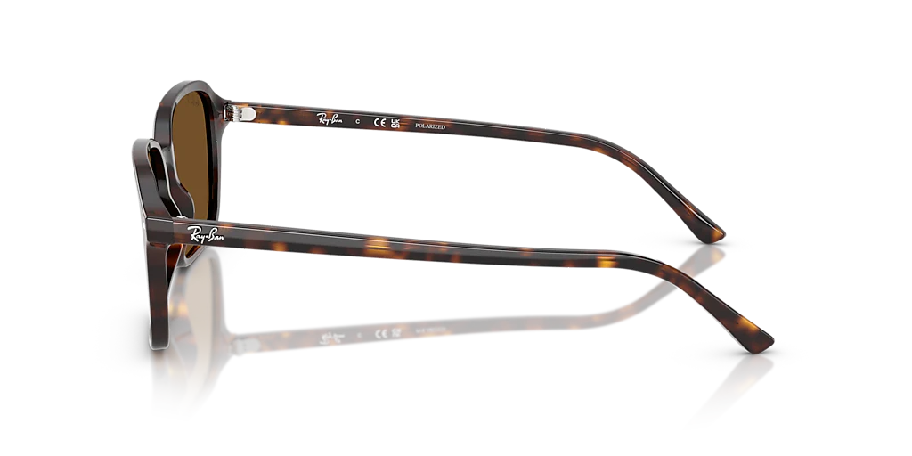 RB2231 Raimond Ray-Ban Tortoise/Brown XL - Image 3
