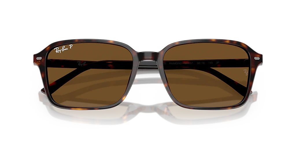 RB2231 Raimond Ray-Ban Tortoise/Brown XL - Image 5