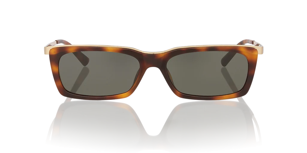 SL 766 Saint Laurent Tortoise/Grey L - Image 2