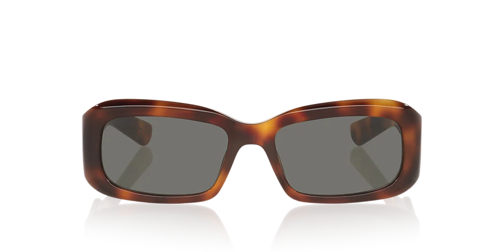 SL 809 Saint Laurent Tortoise/Grey M - Image 2